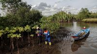 Begini Proses Konservasi Mangrove Segara Anakan di Cilacap