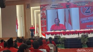Kala PDIP Sebut Bobby Nasution jadi Beban hingga Melihara Anak Macan