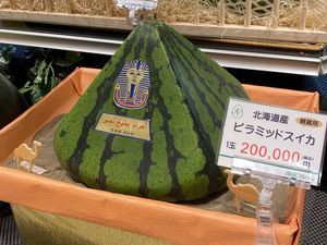 Wow! Semangka Piramida dari Jepang Ini Harganya Sebuah Rp 21,9 Juta Wow! Semangka Piramida dari Jepang Ini Harganya Sebuah Rp 21,9 Juta