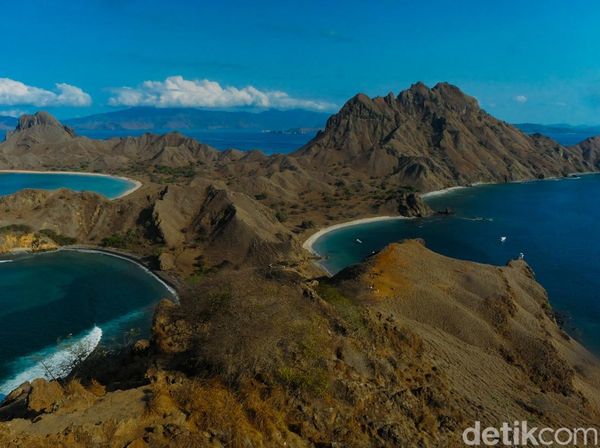 Terbius Eksotisme Pulau Padar, Paket Lengkap Trekking-Healing