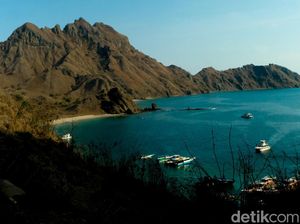 Asita Dukung Kurasi Travel Agent TN Komodo untuk Cegah Agen Liar Asita Dukung Kurasi Travel Agent TN Komodo untuk Cegah Agen Liar