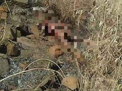 Minakum Tewas Terpanggang Saat Buka Lahan Jagung dengan Dibakar, Ini Kronologinya