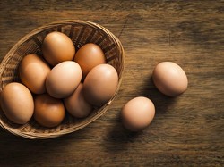 Serupa Tapi Tak Sama! Kenali 5 Jenis Telur Ayam di Pasaran Serupa Tapi Tak Sama! Kenali 5 Jenis Telur Ayam di Pasaran