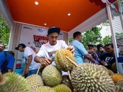 Pemberdayaan BRI Bikin Kelompok Petani Durian Pekalongan Makin Berkembang