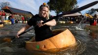 Cuma Ada di Belgia, Lomba Balap Labu Raksasa untuk Rayakan Halloween