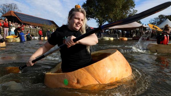 Cuma Ada di Belgia, Lomba Balap Labu Raksasa untuk Rayakan Halloween