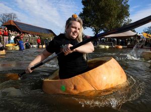 Cuma Ada di Belgia, Lomba Balap Labu Raksasa untuk Rayakan Halloween Cuma Ada di Belgia, Lomba Balap Labu Raksasa untuk Rayakan Halloween