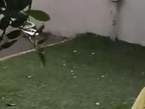 Hujan Es Turun di Kawasan Kota Depok Sore Ini Hujan Es Turun di Kawasan Kota Depok Sore Ini