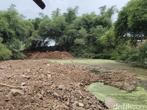 Penangkaran Buaya yang Jebol di Cianjur Kini Ditimbun Tanah