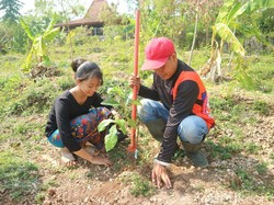 Peringati Sumpah Pemuda, Sedulur Sikep Tanam 100 Pohon di Lereng Kendeng