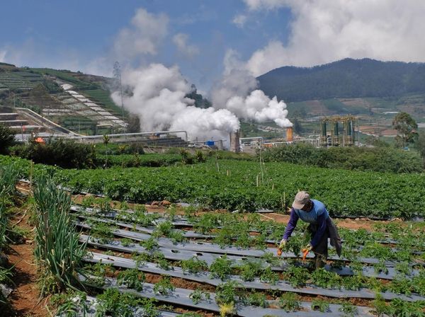Penampakan PLTP Berdampingan dengan Kebun Wortel di Banjarnegara
