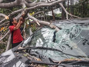 Pohon Tumbang Akibat Angin Kencang Timpa Mobil di Lebak Bulus Jaksel