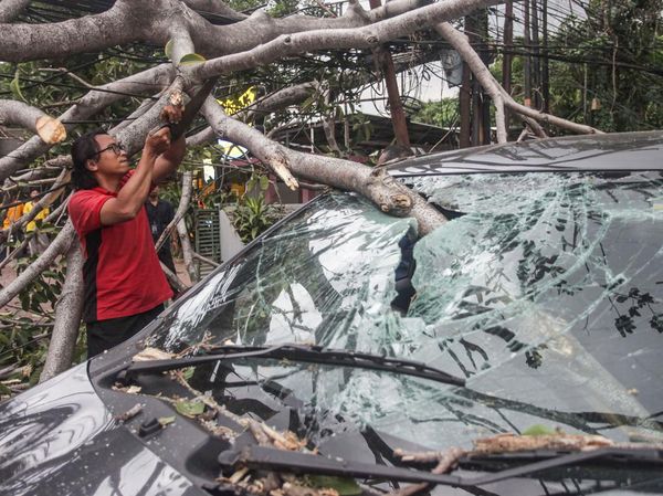 Pohon Tumbang Akibat Angin Kencang Timpa Mobil di Lebak Bulus Jaksel