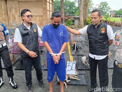 1 Orang Jadi Tersangka Jual Beli Anjing Konsumsi yang Diamankan di Banyumas