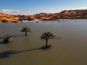 Video: Bumi Semakin Panas yang Ancam Kehidupan di Bumi