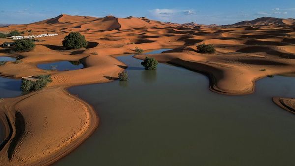 Potret Gurun Sahara Terendam Banjir Langka