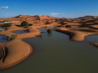 Potret Gurun Sahara Terendam Banjir Langka