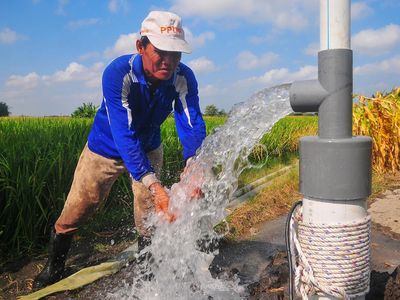 Tak Lagi Pakai BBM, Petani di Boyolali Mulai Beralih ke Listrik buat Pompa Sumur