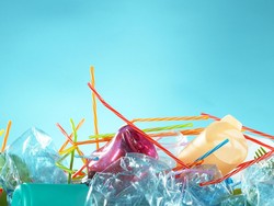 Langkah Terakhir Menuju ILBI yang Mengikat Secara Internasional