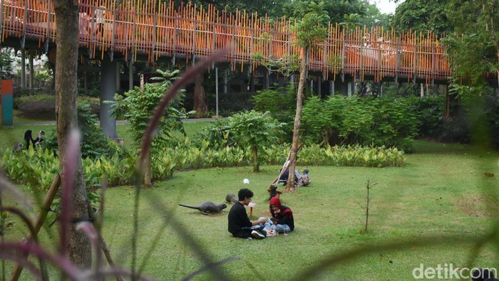 Asyik! Tebet Eco Park, Ruang Hijau Favorit Warga Jakarta Kawasan Tebet Eco Park di Jakarta Selatan menjadi destinasi favorit warga untuk berleha-leha dan berolahraga setiap hari. Dengan jalan masuk gratis, taman ini ramai dikunjungi masyarakat.