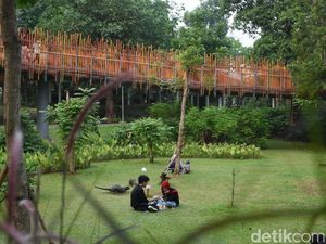 Healing Gratis? Ini 6 Taman Kota yang Bikin Nyaman Banget Healing Gratis? Ini 6 Taman Kota yang Bikin Nyaman Banget