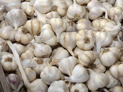 Harga Sembako Jatim Hari Ini: Bawang Putih Naik, Ayam Kampung Turun