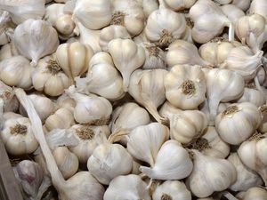 Harga Sembako Jatim Hari Ini: Bawang Putih Naik, Ayam Kampung Turun Harga Sembako Jatim Hari Ini: Bawang Putih Naik, Ayam Kampung Turun