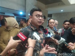 Respons Kepala BPOM RI Terkait Temuan Residu Pestisida di Anggur Muscat