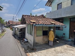 Wanita Ini Hidup Bersama Belasan Bangkai Kucing dalam Gubuknya