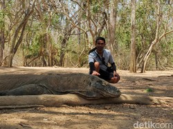 Pungutan Rp 10 Ribu Turis Masuk Pulau Komodo Dibatalkan