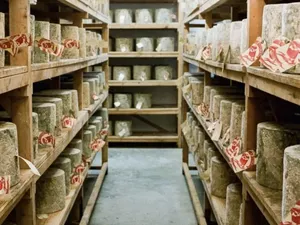 24 Ton Keju Seharga Rp 6,1 Miliar Dicuri, Jamie Oliver Ikut Prihatin