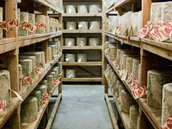 24 Ton Keju Seharga Rp 6,1 Miliar Dicuri, Jamie Oliver Ikut Prihatin