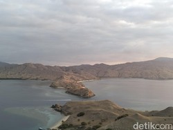 Tiket Masuk TN Komodo Naik Mulai Besok, Ini Rinciannya