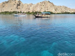 Tarif Mancing di TN Komodo Naik dari Rp 25 Ribu Jadi Rp 5 Juta per Orang