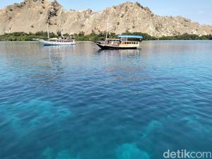 Tarif Mancing di TN Komodo Naik dari Rp 25 Ribu Jadi Rp 5 Juta per Orang Tarif Mancing di TN Komodo Naik dari Rp 25 Ribu Jadi Rp 5 Juta per Orang