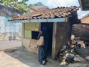 Wanita di Magelang Tinggal Bareng Bangkai Kucing Wanita di Magelang Tinggal Bareng Bangkai Kucing