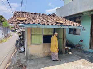 Cerita Warga soal Wanita Magelang Tinggal Bersama Bangkai Belasan Kucing Cerita Warga soal Wanita Magelang Tinggal Bersama Bangkai Belasan Kucing