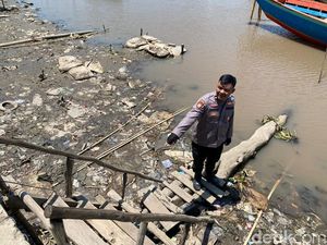 Madi Diterkam Buaya Saat BAB di Sungai Jejawi OKI, Tangan Terluka Madi Diterkam Buaya Saat BAB di Sungai Jejawi OKI, Tangan Terluka