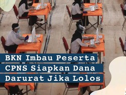 Infografis: Ini Alasan BKN Imbau Peserta CPNS yang Lolos Siapkan Dana Darurat