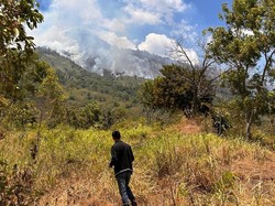 75 Hektare Hutan di Gunung Agung Hangus, Petugas Kesulitan Padamkan Api