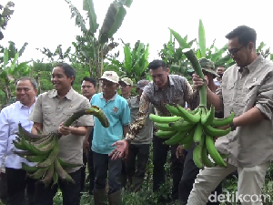 Kementerian Kehutanan Akan Pasok Bahan Program Makan Bergizi Gratis Kementerian Kehutanan Akan Pasok Bahan Program Makan Bergizi Gratis