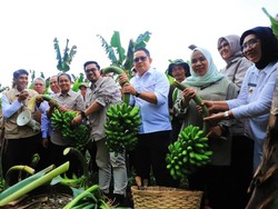 Pemanfaatan Hutan Sosial Berpotensi Turunkan Kemiskinan Ekstrem di Jatim