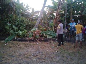 3 Warga di Sidrap Disambar Petir Saat Nonton Balap Motor, 1 Orang Tewas