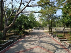 Menikmati Sejuknya Hutan Kota Sumber di Tengah Panasnya Cuaca Cirebon