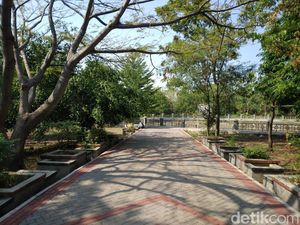 Menikmati Sejuknya Hutan Kota Sumber di Tengah Panasnya Cuaca Cirebon Menikmati Sejuknya Hutan Kota Sumber di Tengah Panasnya Cuaca Cirebon