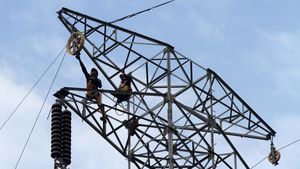 Pernah Lihat Menara Sutet Dirawat? Kaya Gini Nih