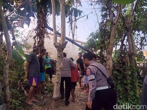 Sopir Linglung Tabrakan Truk ke Pagar Sekolah Sebelum ke Sawah