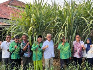 Bulog Beri Bantuan Traktor Dukung Produktivitas Petani Tebu di Blora Bulog Beri Bantuan Traktor Dukung Produktivitas Petani Tebu di Blora