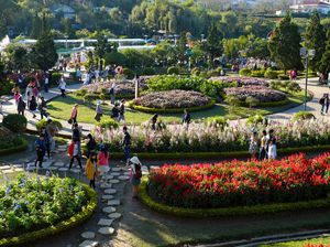Siap-siap, Festival Bunga yang Indah Tiada Dua di Vietnam Segera Mulai