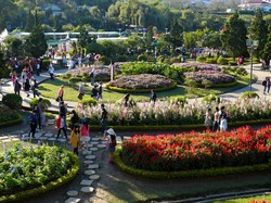 Siap-siap, Festival Bunga yang Indah Tiada Dua di Vietnam Segera Mulai